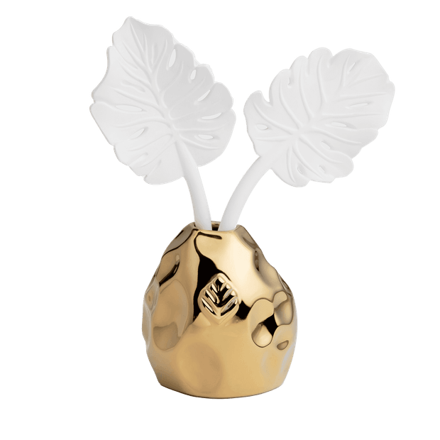 Difusor Costela de Adão Dourado Chá Branco 250ml