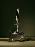 1002401119_CASTICAL_PALMEIRA_G_2