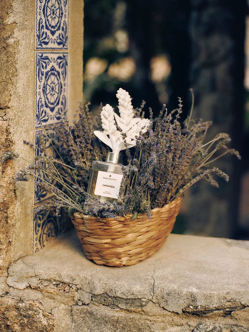 060325_TB_CAMPANHA_PROVENCE0794_OK--1-.jpg
