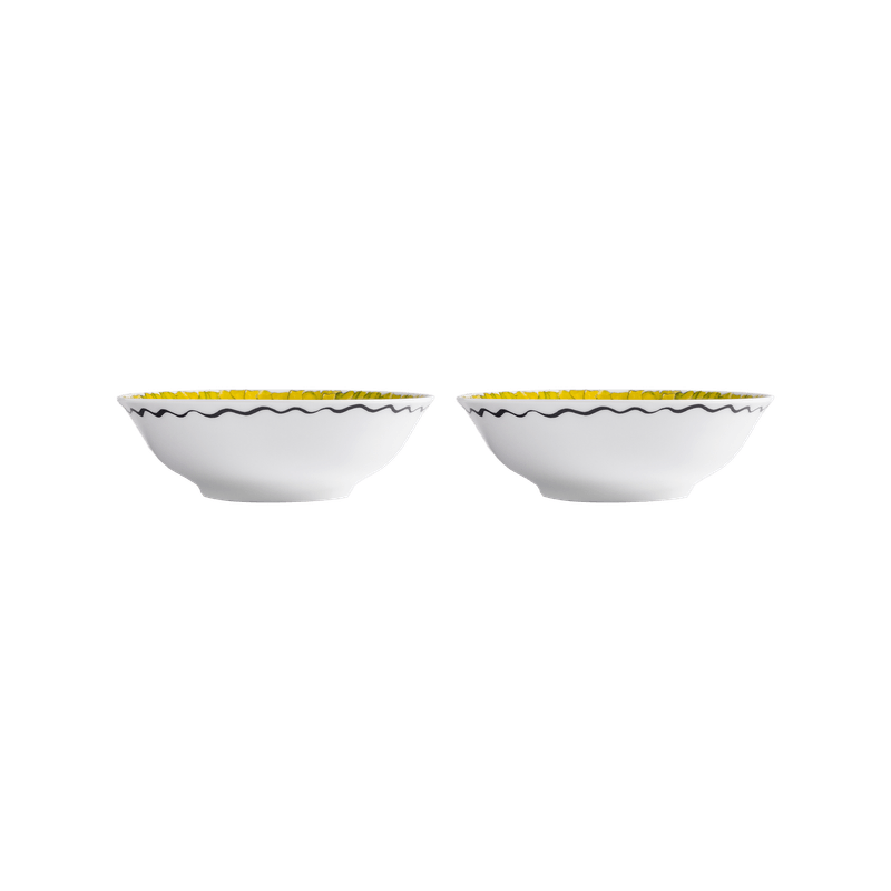 000003080K_Set_Bowl_Tropicos