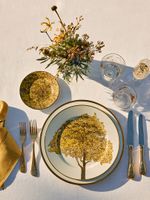 000001935_Set_Prato_Raso_Arvores_do_Brasil_4pc_4